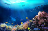 Undersea Image Adobestock